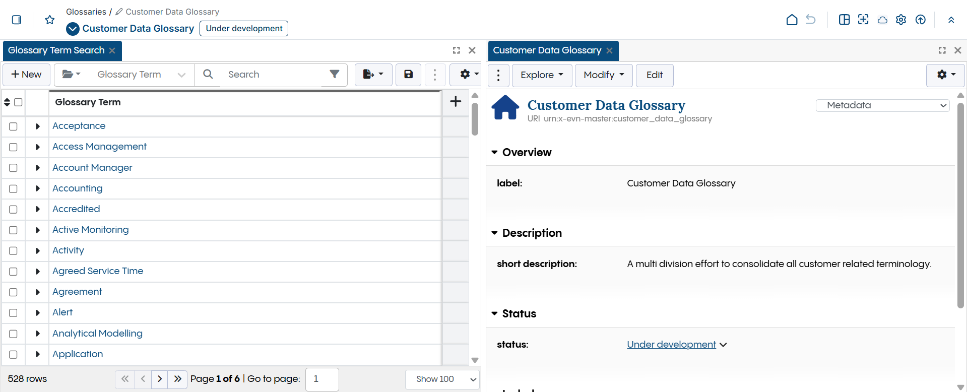 Customer Data Glossary